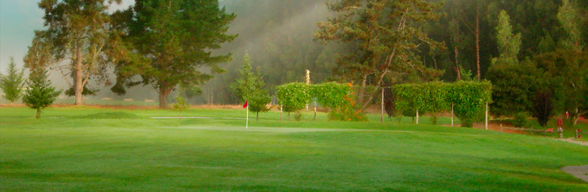 Spring Hills Golf Course Home