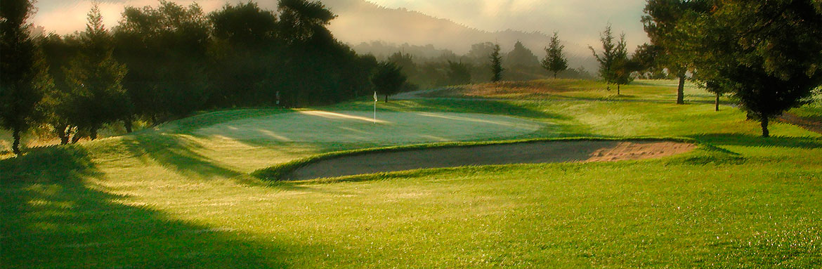 Spring Hills Golf Course Home